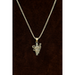 Shakti Charm